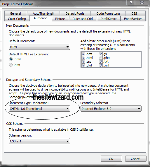 Page Editor Options with the Document Type Declaration highlighted